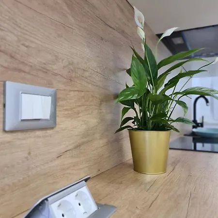 Andy Lejlighed Rijeka