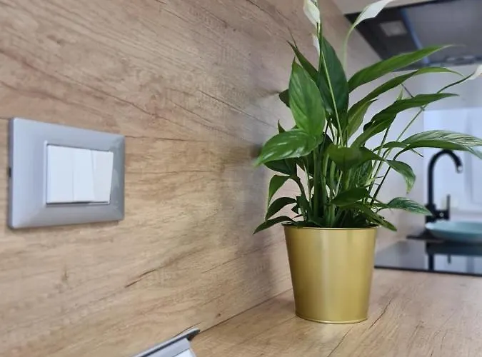 Andy شقة غييكا